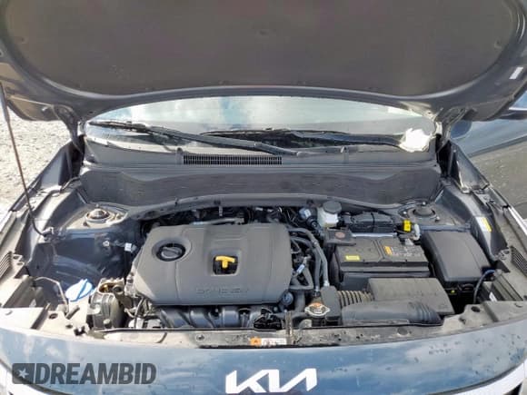 ✅ 2025 Kia Seltos S • VIN: KNDEU2AA5S7811252 • Lot: 86326285. Listed on Copart with 6,375 mi. Free auction sales archive from the USA and detailed vehicle history report at DreamBid. Image 12.