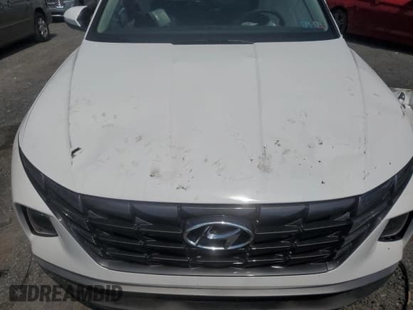 ✅ 2024 Hyundai Tucson SE • VIN: 5NMJA3DE5RH430001 • Lot: 67531084. Wystawiony na Copart z przebiegiem 68 mil. Bezpłatny archiwum sprzedaży aukcyjnych z USA i szczegółowy raport historii pojazdu na DreamBid. Zdjęcie 11.