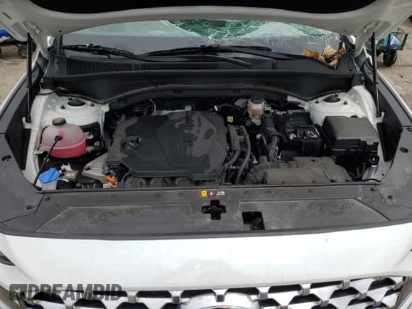 ✅ 2021 Hyundai Santa Fe SEL • VIN: 5NMS3DAJ4MH370212 • Lot: 61885863. Wystawiony na Copart z przebiegiem 23 738 mil. Bezpłatny archiwum sprzedaży aukcyjnych z USA i szczegółowy raport historii pojazdu na DreamBid. Zdjęcie 11.