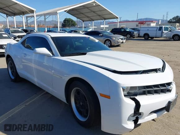 ✅ 2013 Chevrolet Camaro LS • VIN: 2G1FE1E3XD9178720 • Lot: 41591443. Listed on IAAI with 80,300 mi. Free auction sales archive from the USA and detailed vehicle history report at DreamBid. Image 1.