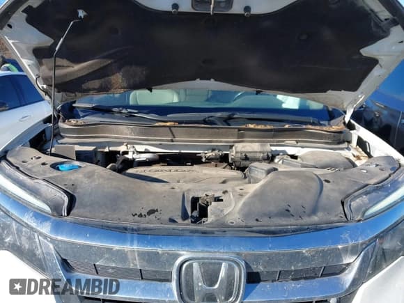 ✅ 2019 Honda Pilot EX-L • VIN: 5FNYF6H52KB015351 • Лот: 40983869. Опубликован ранее на IAAI с пробегом 119 328 миль. Бесплатный доступ к архиву аукционных продаж из США и подробный отчёт об истории автомобиля на DreamBid. Изображение 10.