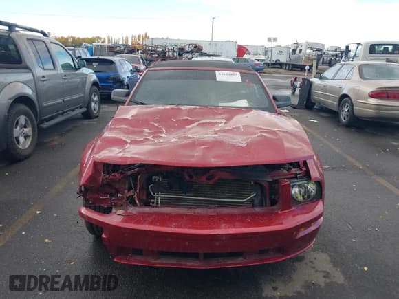 ✅ 2006 Ford Mustang GT Deluxe • VIN: 1ZVHT85H365242880 • Lot: 43632803. Listed on IAAI with Not provided. Free auction sales archive from the USA and detailed vehicle history report at DreamBid. Image 12.