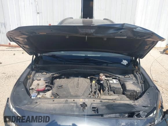 ✅ 2021 Hyundai Santa Fe SEL • VIN: 5NMS64AJ2MH309948 • Lot: 43392363. Listed on IAAI with 29,182 mi. Free auction sales archive from the USA and detailed vehicle history report at DreamBid. Image 10.