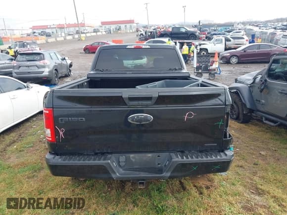 ✅ 2016 Ford F-150 XLT • VIN: 1FTFW1EF1GFA90441 • Lot: 43745131. Listed on IAAI with 219,784 mi. Free auction sales archive from the USA and detailed vehicle history report at DreamBid. Image 21.