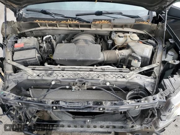 ✅ 2021 Chevrolet Silverado 1500 LT • VIN: 1GCUYDED9MZ305219 • Lot: 85940985. Listed on Copart with 76,133 mi. Free auction sales archive from the USA and detailed vehicle history report at DreamBid. Image 11.