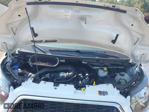 ✅ 2025 Ford Transit Passenger XL • VIN: 1FBAX2Y82SKA20901 • Lot: 43265671. Wystawiony na IAAI z przebiegiem 13 019 mil. Bezpłatny archiwum sprzedaży aukcyjnych z USA i szczegółowy raport historii pojazdu na DreamBid. Zdjęcie 10.