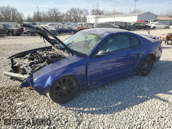 ✅ 2004 Ford Mustang Standard • VIN: 1FAFP40644F208036 • Lot: 49015855. Listed on Copart with 195,365 mi. Free auction sales archive from the USA and detailed vehicle history report at DreamBid. Image 1.