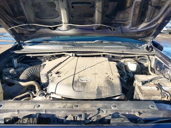 ✅ 2013 Toyota Tacoma • VIN: 3TMLU4EN7DM119437 • Lot: 41345536. Listed on IAAI with 110,735 mi. Free auction sales archive from the USA and detailed vehicle history report at DreamBid. Image 10.