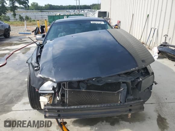 ✅ 2006 Ford Mustang Standard • VIN: 1ZVFT80NX65224073 • Lot: 55227215. Listed on Copart with 231,218 mi. Free auction sales archive from the USA and detailed vehicle history report at DreamBid. Image 5.