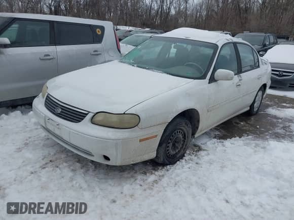 1998 Chevrolet Malibu z VIN 1G1ND52M6WY148731, wystawiony jako IAAI lot #41297219 z przebiegiem 228 054 mil mil oraz . Historia ofert i sprzedaży dostępna na DreamBid. Obrazek 2.