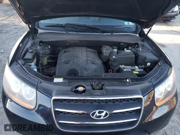 ✅ 2008 Hyundai Santa Fe SE • VIN: 5NMSH73E08H188757 • Lot: 80657834. Listed on Copart with 209,314 mi. Free auction sales archive from the USA and detailed vehicle history report at DreamBid. Image 12.