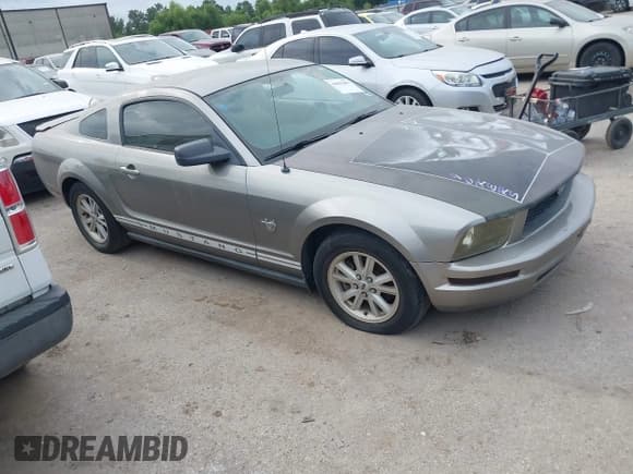 ✅ 2009 Ford Mustang • VIN: 1ZVHT80N095145945 • Lot: 42832887. Listed on IAAI with 200,215 mi. Free auction sales archive from the USA and detailed vehicle history report at DreamBid. Image 1.