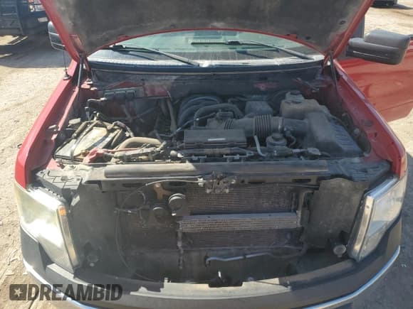 ✅ 2010 Ford F-150 XL • VIN: 1FTMF1C85AKE41734 • Lot: 73880154. Listed on Copart with 201,546 mi. Free auction sales archive from the USA and detailed vehicle history report at DreamBid. Image 11.