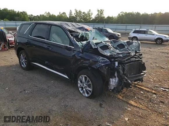 ✅ 2020 Hyundai Palisade SE • VIN: KM8R1DHE4LU052624 • Lot: 55254005. Listed on Copart with 119,424 mi. Free auction sales archive from the USA and detailed vehicle history report at DreamBid. Image 14.