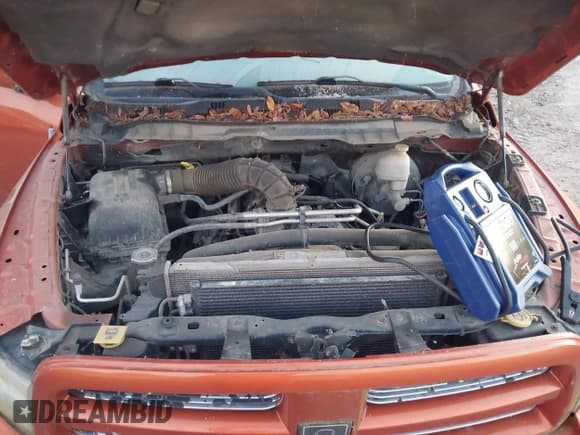 ✅ 2010 Dodge 1500 SLT • VIN: 1D7RV1GT0AS193809 • Lot: 43669414. Listed on IAAI with 218,063 mi. Free auction sales archive from the USA and detailed vehicle history report at DreamBid. Image 10.