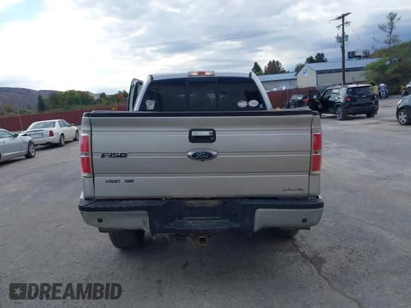 ✅ 2013 Ford F-150 Platinum • VIN: 1FTFW1EF2DFA03125 • Lot: 43504670. Listed on IAAI with 100,176 mi. Free auction sales archive from the USA and detailed vehicle history report at DreamBid. Image 16.