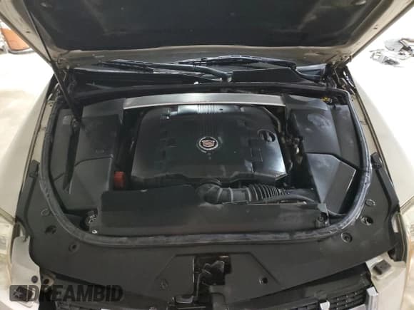 ✅ 2013 Cadillac CTS Premium • VIN: 1G6DP5E38D0159449 • Lot: 81739234. Listed on Copart with 81,831 mi. Free auction sales archive from the USA and detailed vehicle history report at DreamBid. Image 11.