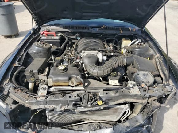 ✅ 2006 Ford Mustang GT Deluxe • VIN: 1ZVHT85H665110678 • Lot: 82087325. Listed on Copart with 49,580 mi. Free auction sales archive from the USA and detailed vehicle history report at DreamBid. Image 11.