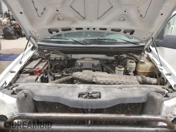 ✅ 2006 Ford F-150 XL • VIN: 1FTRF14596NA66799 • Lot: 47409015. Listed on Copart with 303,447 mi. Free auction sales archive from the USA and detailed vehicle history report at DreamBid. Image 11.