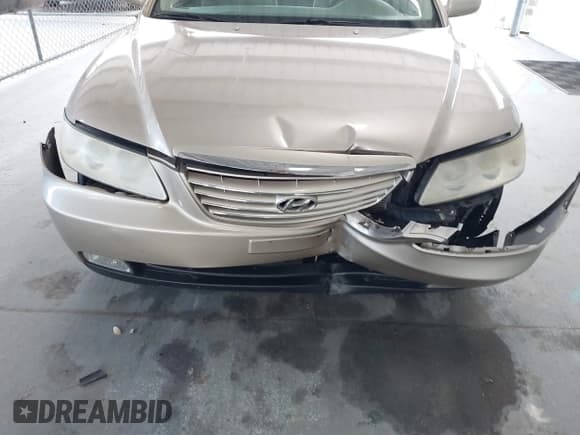 ✅ 2007 Hyundai Azera SE • VIN: KMHFC46F67A139389 • Lot: 42974339. Listed on IAAI with 127,895 mi. Free auction sales archive from the USA and detailed vehicle history report at DreamBid. Image 6.
