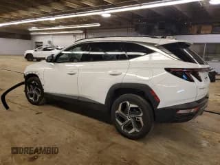 ✅ 2023 Hyundai Tucson Limited • VIN: 5NMJECAEXPH244055 • Lot: 80498503. Wystawiony na Copart z przebiegiem 7 111 mil. Bezpłatny archiwum sprzedaży aukcyjnych z USA i szczegółowy raport historii pojazdu na DreamBid. Zdjęcie 2.