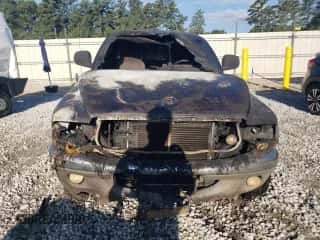 2000 Dodge Dakota Sport z VIN 1B7GG22N5YS733630, wystawiony jako Copart lot #67958294 z przebiegiem Nie podano mil oraz Nie do naprawy • Non repairable. Historia ofert i sprzedaży dostępna na DreamBid. Obrazek 5.