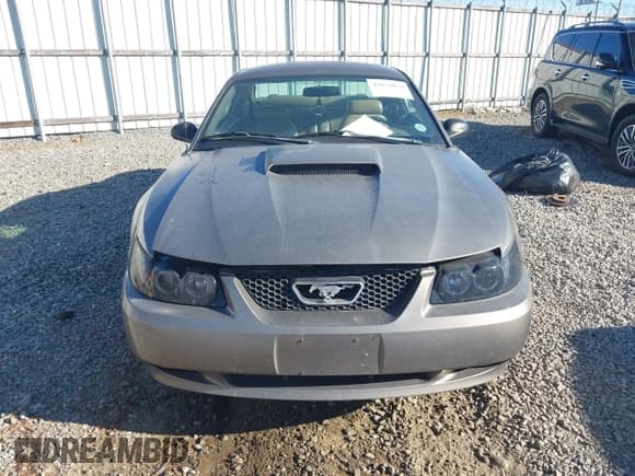 ✅ 2002 Ford Mustang GT Deluxe • VIN: 1FAFP42X82F133201 • Lot: 43632074. Listed on IAAI with 214,684 mi. Free auction sales archive from the USA and detailed vehicle history report at DreamBid. Image 12.