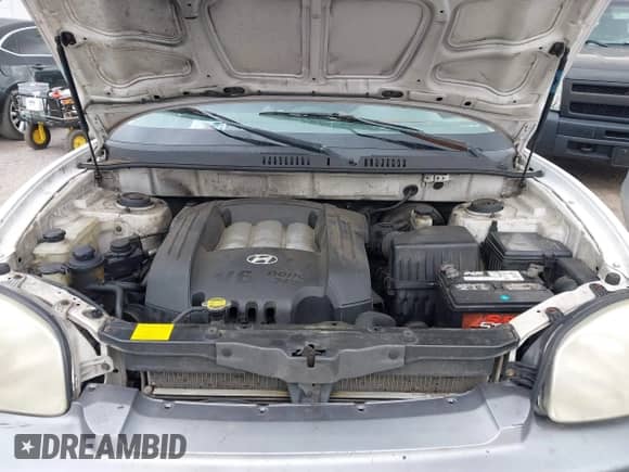 2003 Hyundai Santa Fe GLS с VIN KM8SC13D63U379437, выставлен на аукционе IAAI как лот 41608497 с пробегом 299 247 миль миль и . История ставок и продаж доступна на DreamBid. Изображение 10.