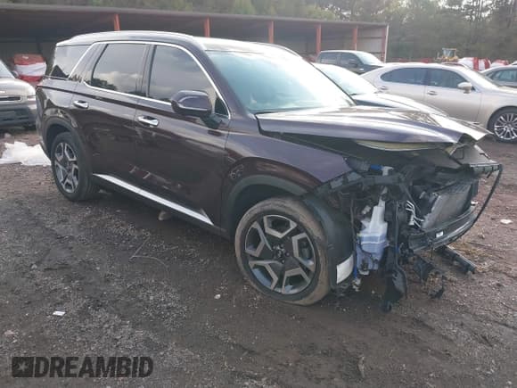 ✅ 2024 Hyundai Palisade SEL • VIN: KM8R44GE7RU730185 • Лот: 40734288. Опубликован ранее на IAAI с пробегом 12 216 миль. Бесплатный доступ к архиву аукционных продаж из США и подробный отчёт об истории автомобиля на DreamBid. Изображение 1.