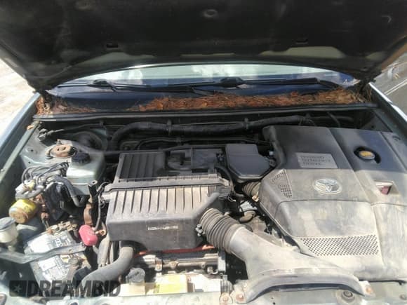 ✅ 2007 Toyota Highlander w/3rd Row • VIN: JTEEW21A170047776 • Lot: 41993403. Wystawiony na IAAI z przebiegiem 260 538 mil. Bezpłatny archiwum sprzedaży aukcyjnych z USA i szczegółowy raport historii pojazdu na DreamBid. Zdjęcie 10.