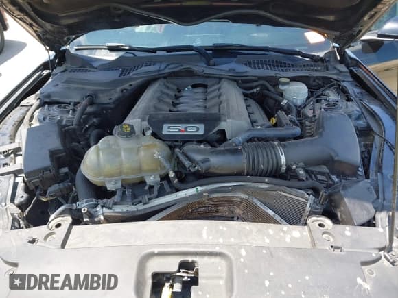 ✅ 2017 Ford Mustang GT • VIN: 1FA6P8CF2H5319778 • Лот: 42522276. Опубликован ранее на IAAI с пробегом 87 854 миль. Бесплатный доступ к архиву аукционных продаж из США и подробный отчёт об истории автомобиля на DreamBid. Изображение 10.