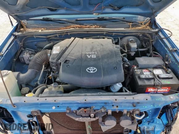 ✅ 2007 Toyota Tacoma X-Runner • VIN: 5TETU22N97Z466560 • Lot: 59605505. Wystawiony na Copart z przebiegiem 187 549 mil. Bezpłatny archiwum sprzedaży aukcyjnych z USA i szczegółowy raport historii pojazdu na DreamBid. Zdjęcie 11.