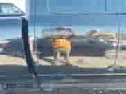 2014 Ram 1500 Express с VIN 1C6RR7FT6ES118841, выставлен на аукционе IAAI как лот 43466493 с пробегом 201 667 миль миль и . История ставок и продаж доступна на DreamBid. Изображение 19.