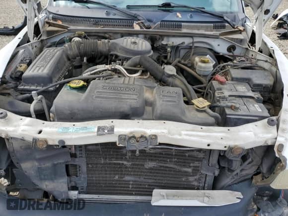 2000 Dodge Dakota with VIN 1B7GL22X1YS708575, listed as a Copart auction lot 82715565 with 133,656 mi miles and Salvage title. Bid and sale history available at DreamBid. Image 11.