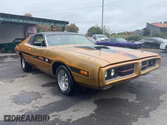1974 Dodge Charger с VIN WP29G4A176505, выставлен на аукционе Copart как лот 91477365 с пробегом 76 031 миль миль и Чистый • Clean title. История ставок и продаж доступна на DreamBid. Изображение 1.