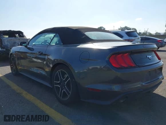 ✅ 2020 Ford Mustang EcoBoost Premium • VIN: 1FATP8UH8L5138728 • Lot: 43512721. Wystawiony na IAAI z przebiegiem 137 221 mil. Bezpłatny archiwum sprzedaży aukcyjnych z USA i szczegółowy raport historii pojazdu na DreamBid. Zdjęcie 3.