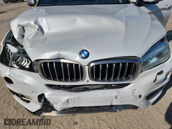 ✅ 2017 BMW X6 sDrive35i • VIN: 5UXKU0C31H0G68115 • Lot: 80142175. Listed on Copart with 150,106 mi. Free auction sales archive from the USA and detailed vehicle history report at DreamBid. Image 12.