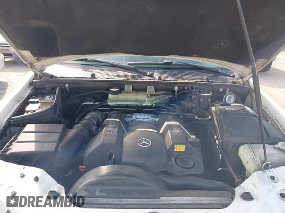 ✅ 1999 Mercedes-Benz M 320/430/500 • VIN: 4JGAB54E2XA133554 • Lot: 43174659. Listed on IAAI with 261,028 mi. Free auction sales archive from the USA and detailed vehicle history report at DreamBid. Image 10.