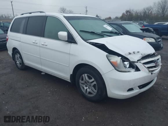 ✅ 2005 Honda Odyssey EX-L • VIN: 5FNRL38655B411556 • Lot: 43704042. Listed on IAAI with 205,713 mi. Free auction sales archive from the USA and detailed vehicle history report at DreamBid. Image 1.