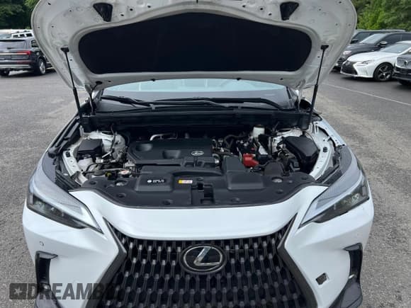✅ 2022 Lexus NX 250 • VIN: 2T2ADCAZ0NC001827 • Lot: 70881335. Wystawiony na Copart z przebiegiem 18 444 mil. Bezpłatny archiwum sprzedaży aukcyjnych z USA i szczegółowy raport historii pojazdu na DreamBid. Zdjęcie 8.
