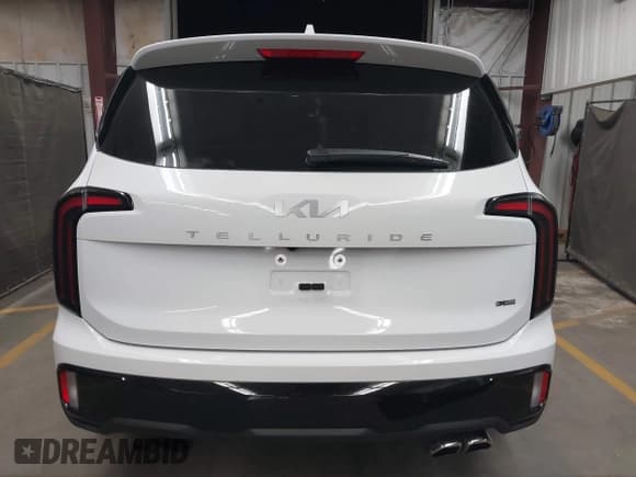 ✅ 2024 Kia Telluride EX X-Line • VIN: 5XYP3DGC4RG448097 • Lot: 42261602. Listed on IAAI with 29,217 mi. Free auction sales archive from the USA and detailed vehicle history report at DreamBid. Image 16.