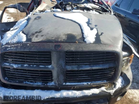 ✅ 2003 Dodge 1500 ST • VIN: 1D7HU18ZX3J543392 • Лот: 87542765. Размещён на Copart с пробегом Не указан миль. Получите бесплатный доступ к архиву аукционных продаж из США и посмотрите подробный отчёт об истории автомобиля на DreamBid. Изображение 12.