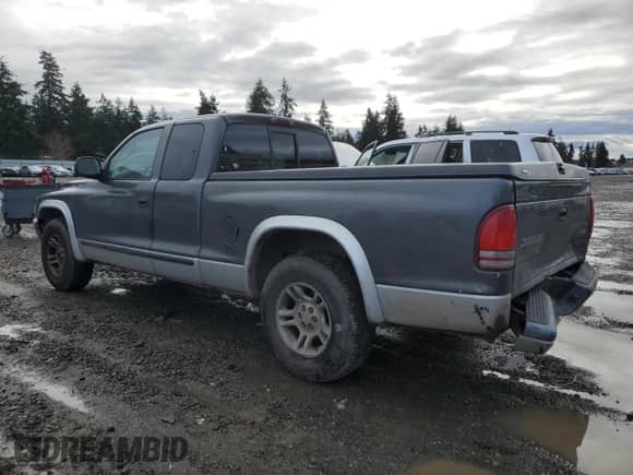 2003 Dodge Dakota SLT with VIN 1D7HL42X33S328572, listed as a Copart auction lot 43112125 with Not provided miles and Salvage title. Bid and sale history available at DreamBid. Image 2.