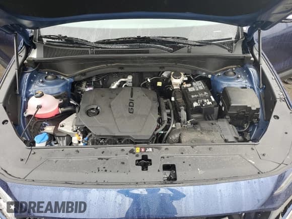 ✅ 2023 Hyundai Santa Fe SEL • VIN: 5NMS2DAJXPH552522 • Lot: 69047283. Wystawiony na Copart z przebiegiem 9 567 mil. Bezpłatny archiwum sprzedaży aukcyjnych z USA i szczegółowy raport historii pojazdu na DreamBid. Zdjęcie 12.