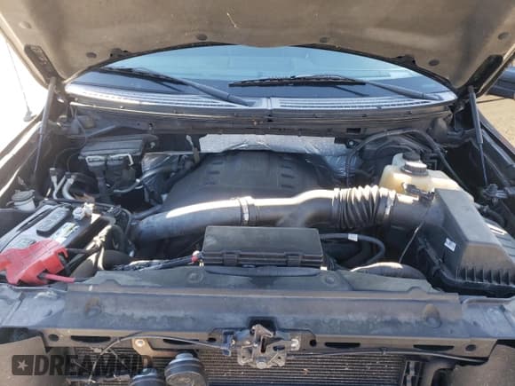 ✅ 2012 Ford F-150 XL • VIN: 1FTFX1ET2CFA08441 • Lot: 70541965. Listed on Copart with 120,735 mi. Free auction sales archive from the USA and detailed vehicle history report at DreamBid. Image 11.