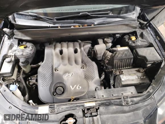 ✅ 2008 Hyundai Santa Fe GLS • VIN: 5NMSG73D98H162703 • Lot: 81577904. Listed on Copart with 146,763 mi. Free auction sales archive from the USA and detailed vehicle history report at DreamBid. Image 13.