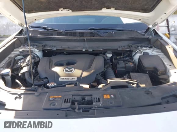 ✅ 2019 Mazda CX-9 Sport • VIN: JM3TCABY9K0309019 • Lot: 41703012. Listed on IAAI with 64,390 mi. Free auction sales archive from the USA and detailed vehicle history report at DreamBid. Image 10.