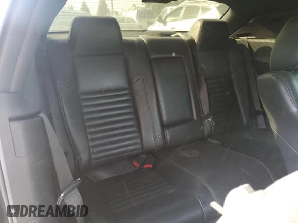 ✅ 2010 Dodge Challenger SE • VIN: 2B3CJ4DV5AH306651 • Lot: 78322804. Wystawiony na Copart z przebiegiem Nie podano. Bezpłatny archiwum sprzedaży aukcyjnych z USA i szczegółowy raport historii pojazdu na DreamBid. Zdjęcie 10.