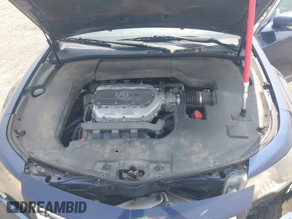 ✅ 2013 Acura TL Technology • VIN: 19UUA9F56DA000219 • Lot: 42891802. Wystawiony na IAAI z przebiegiem 196 270 mil. Bezpłatny archiwum sprzedaży aukcyjnych z USA i szczegółowy raport historii pojazdu na DreamBid. Zdjęcie 10.