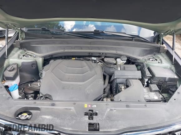 ✅ 2024 Kia Telluride EX X-Line • VIN: 5XYP3DGCXRG540444 • Лот: 42923858. Опубликован ранее на IAAI с пробегом 20 603 миль. Бесплатный доступ к архиву аукционных продаж из США и подробный отчёт об истории автомобиля на DreamBid. Изображение 10.